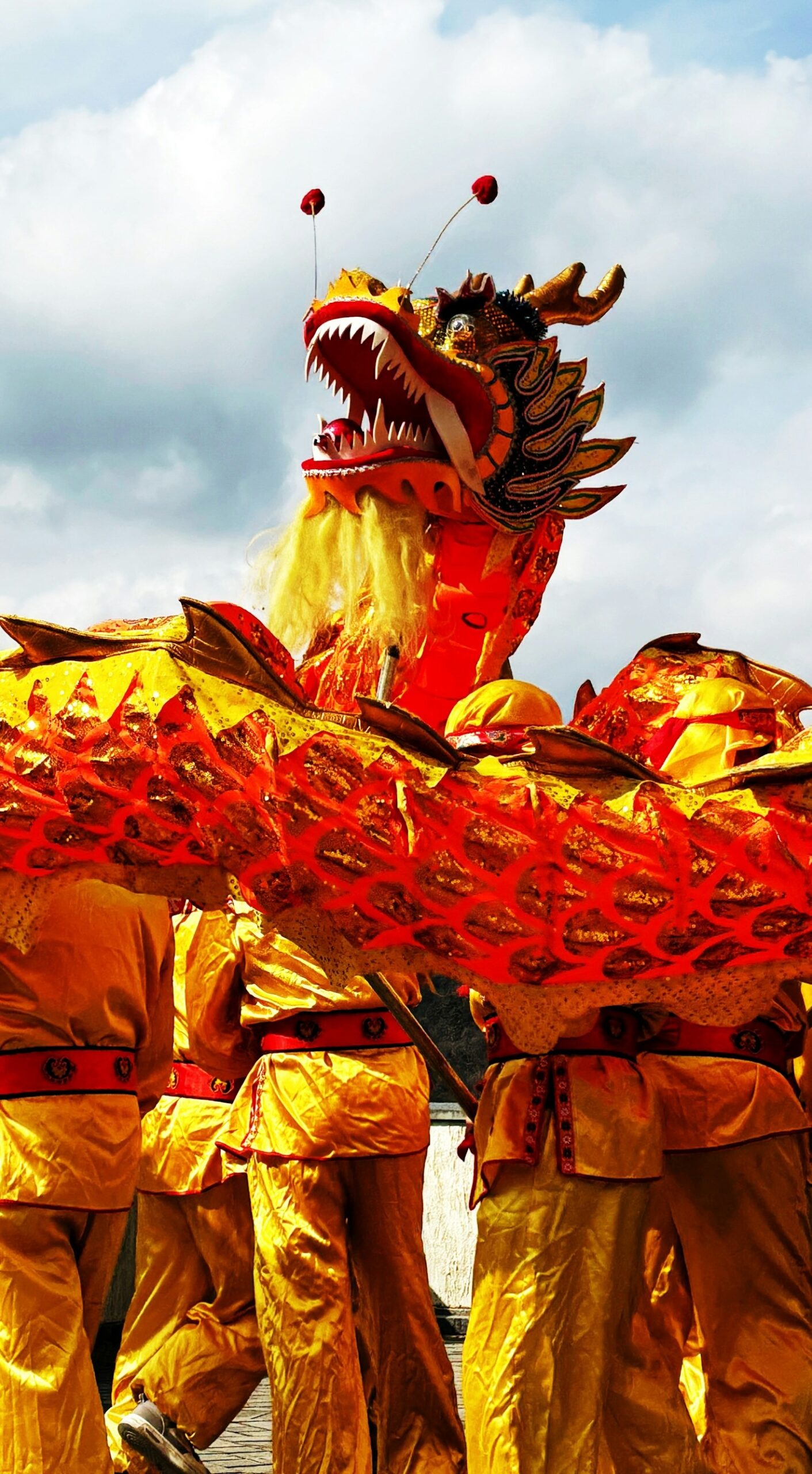Top Tiv Festivals You Must Experience